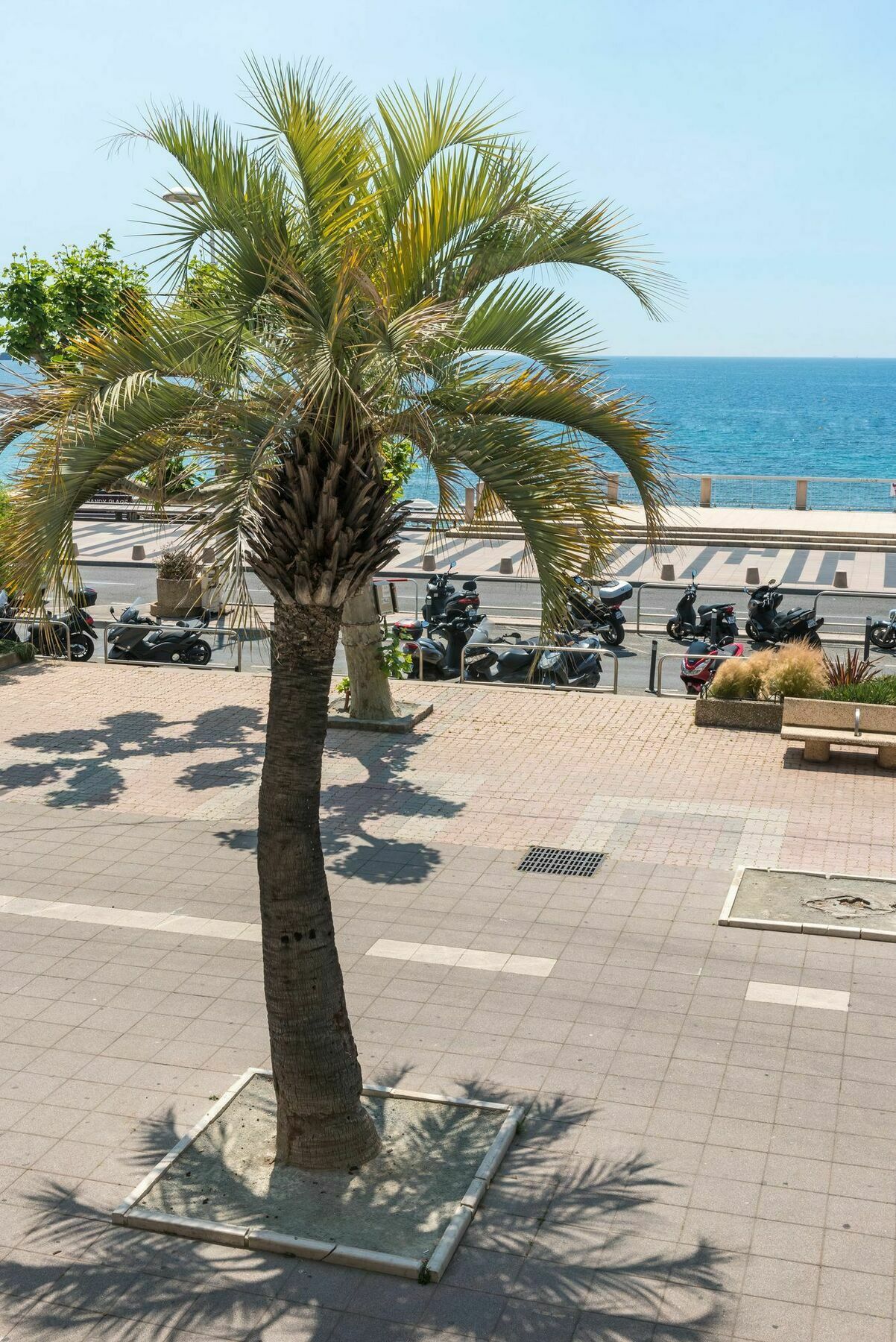 Mercure Saint Raphael Centre Plage Extérieur photo